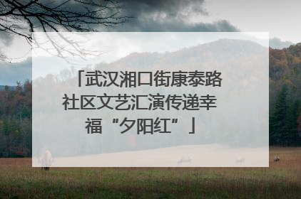 武汉湘口街康泰路社区文艺汇演传递幸福“夕阳红”